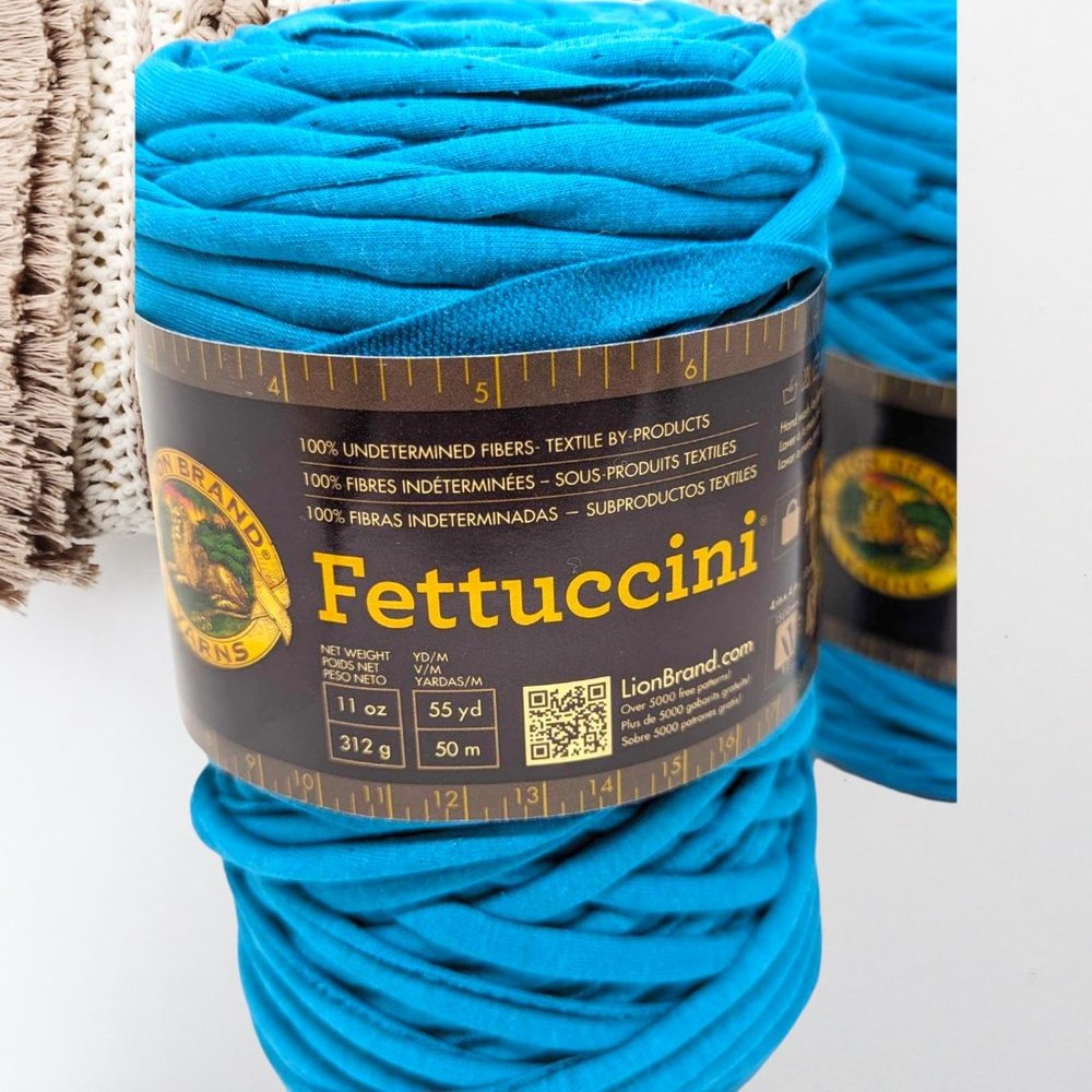 Lion Brand Fettuccini Yarn Bundle of 2 , 23oz Lot #66